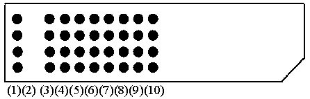 Protein chip for myasthenia gravis marker detection and preparation method thereof