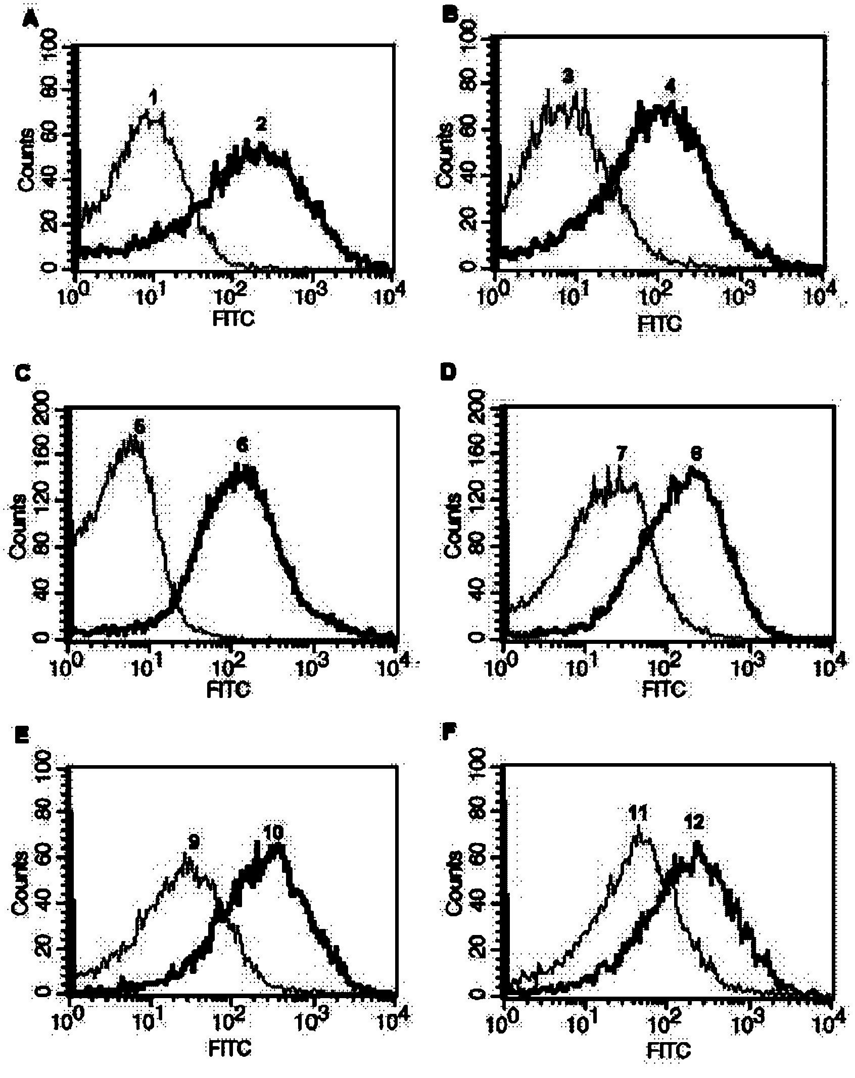 Intracellular protein detection method by flow cytometry