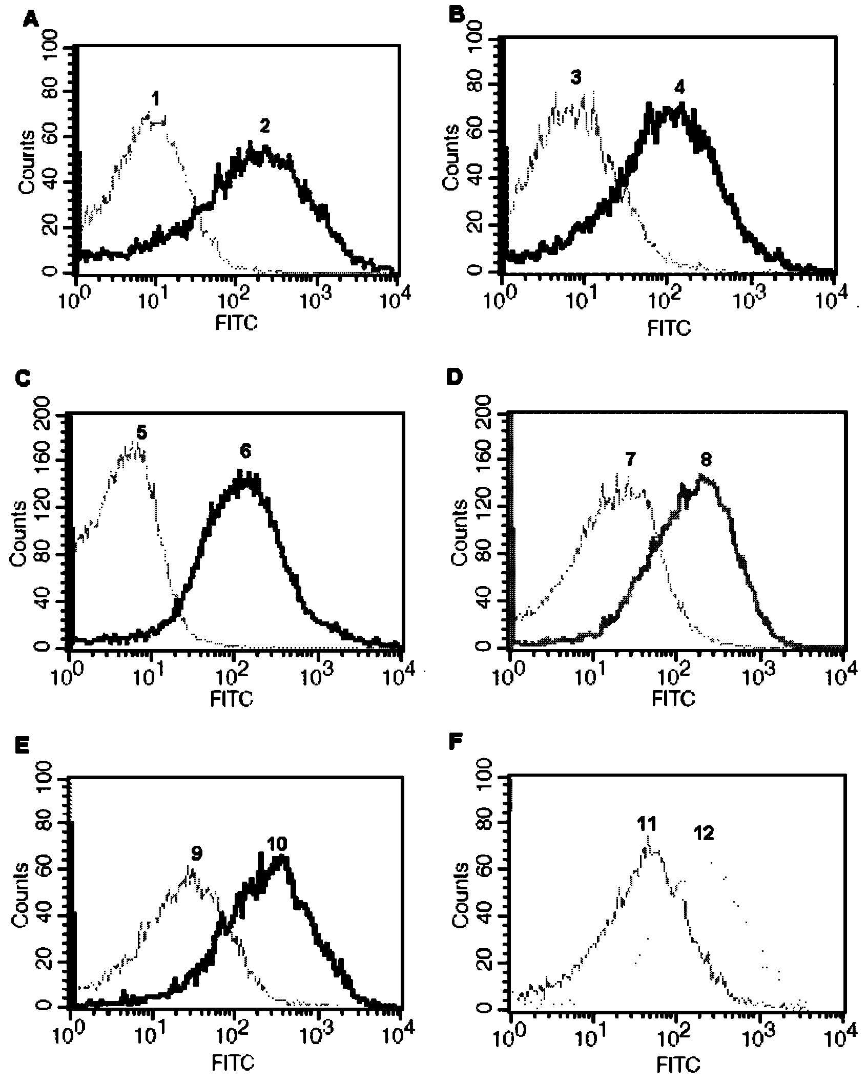 Intracellular protein detection method by flow cytometry