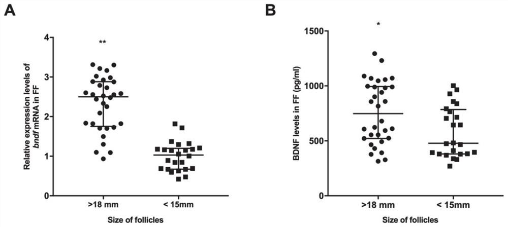 Application of miRNA as biomarker to prediction of IVF-ET outcome