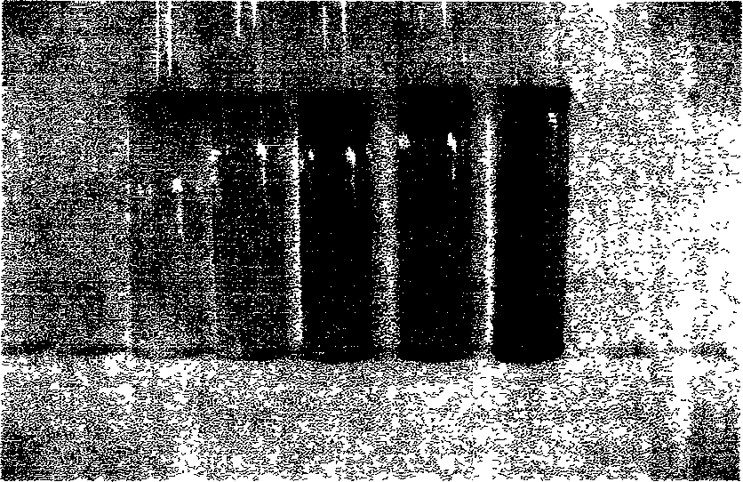 Reagent for detecting mercury ion in water and its preparation method