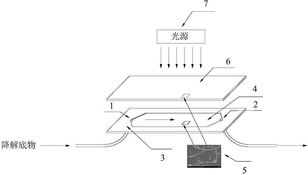 Metal ion-doped titanium dioxide plate-type photocatalytic microreactor and preparation method for catalyst thin films in reactor