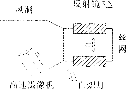 Device for measuring high-flap-rate insect motion parameter