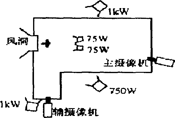 Device for measuring high-flap-rate insect motion parameter