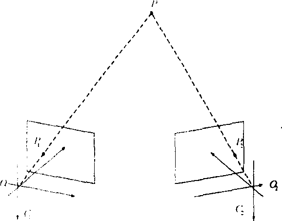 Device for measuring high-flap-rate insect motion parameter