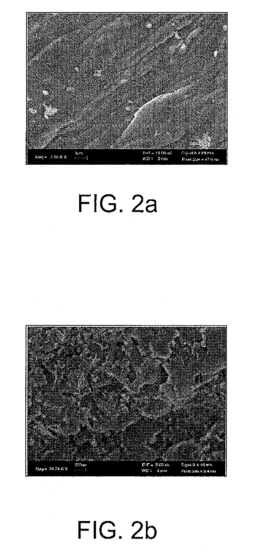 Chemical vapor deposition of carbon nanotubes on structures and substrates