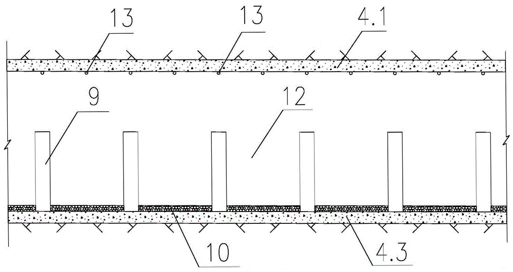 Tunnel type nature fishway imitated fish-barring lifting device and method