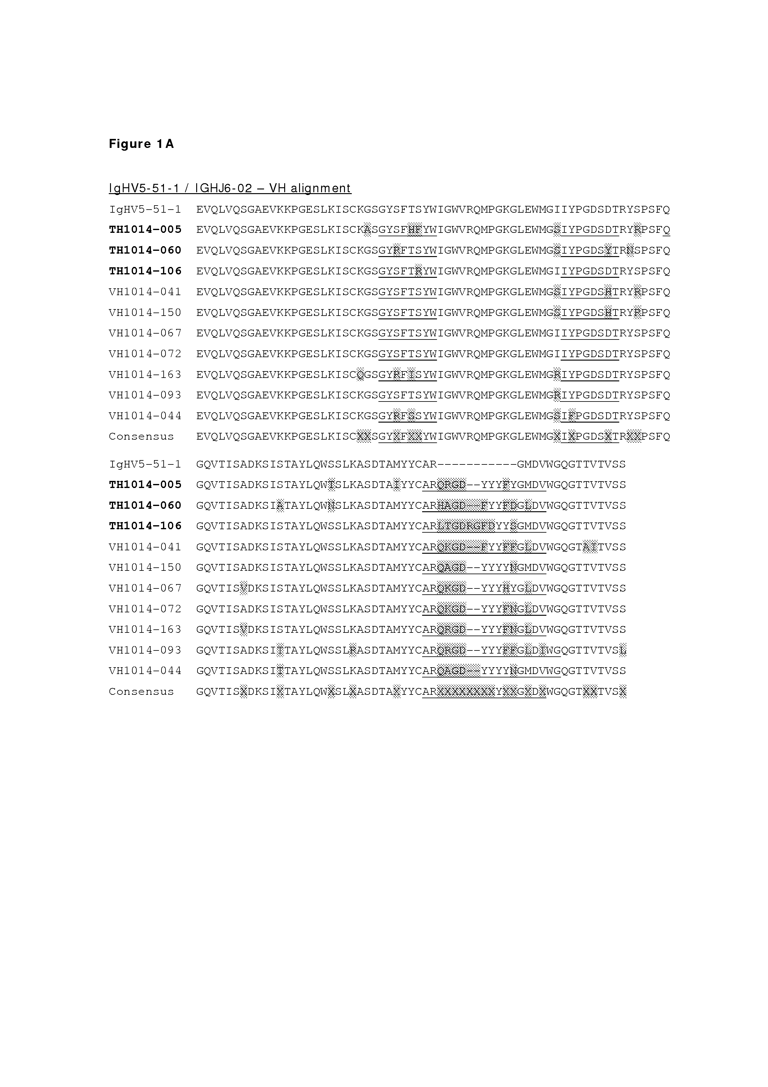 Monoclonal antibodies against her2 epitope