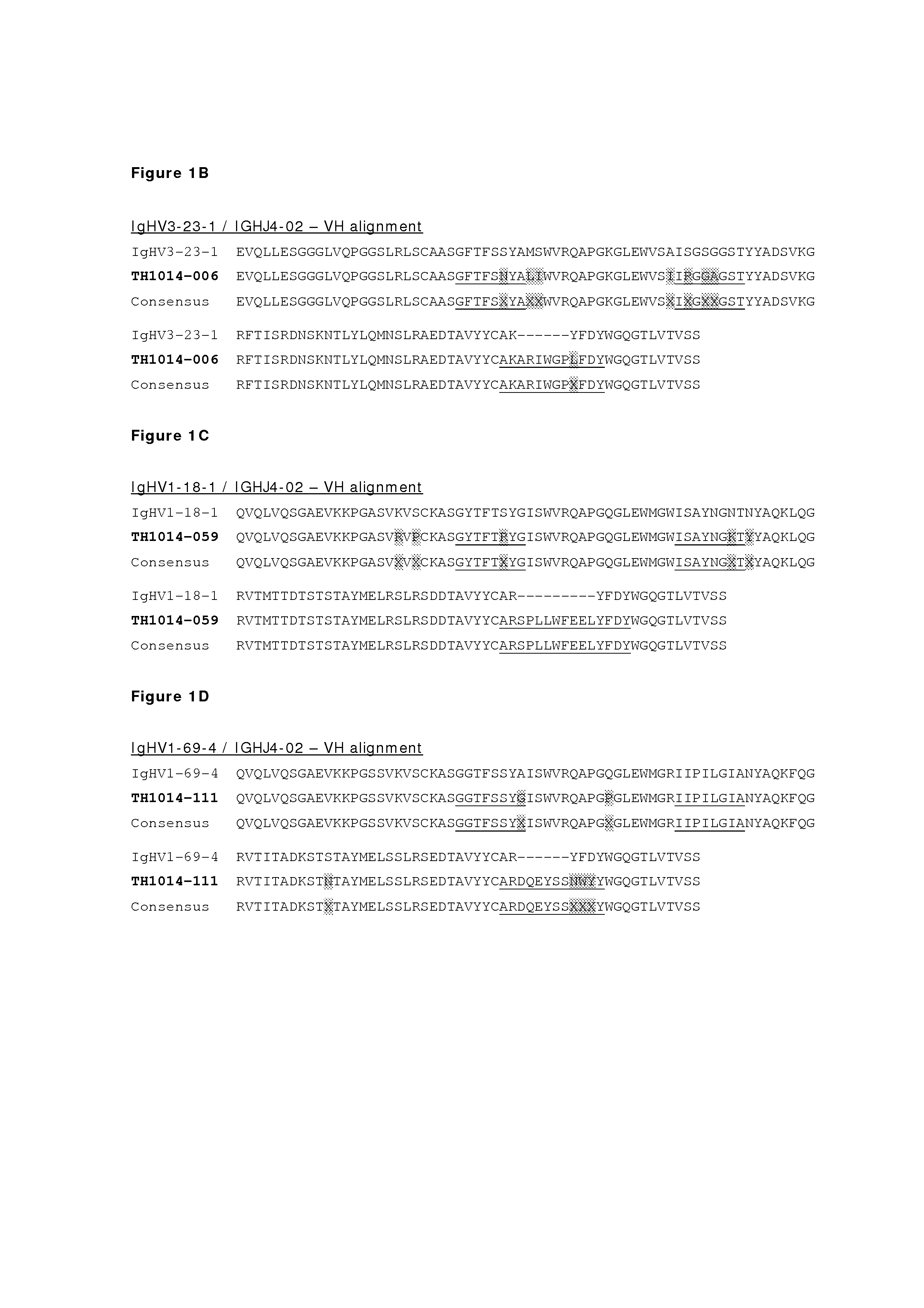 Monoclonal antibodies against her2 epitope