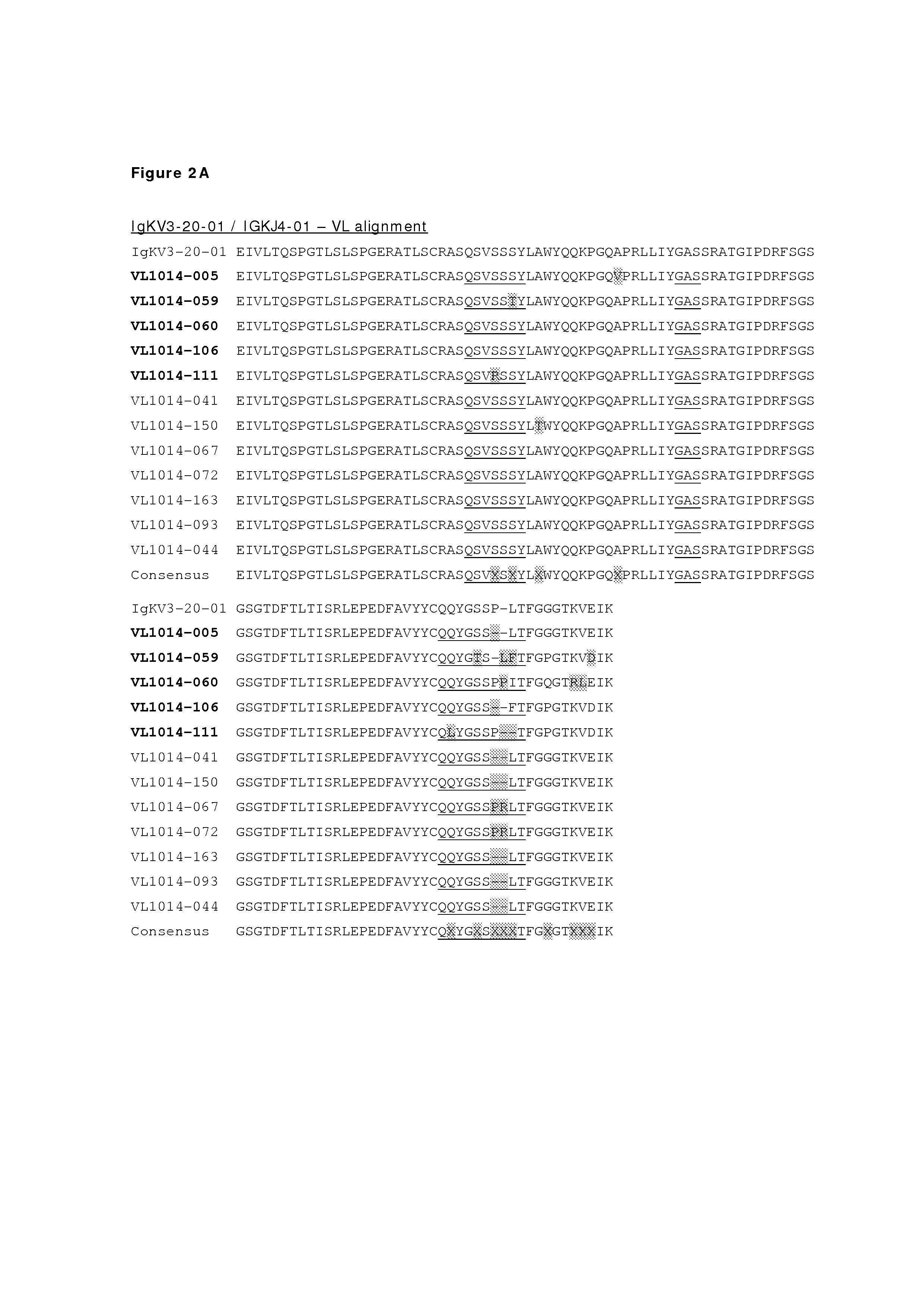 Monoclonal antibodies against her2 epitope