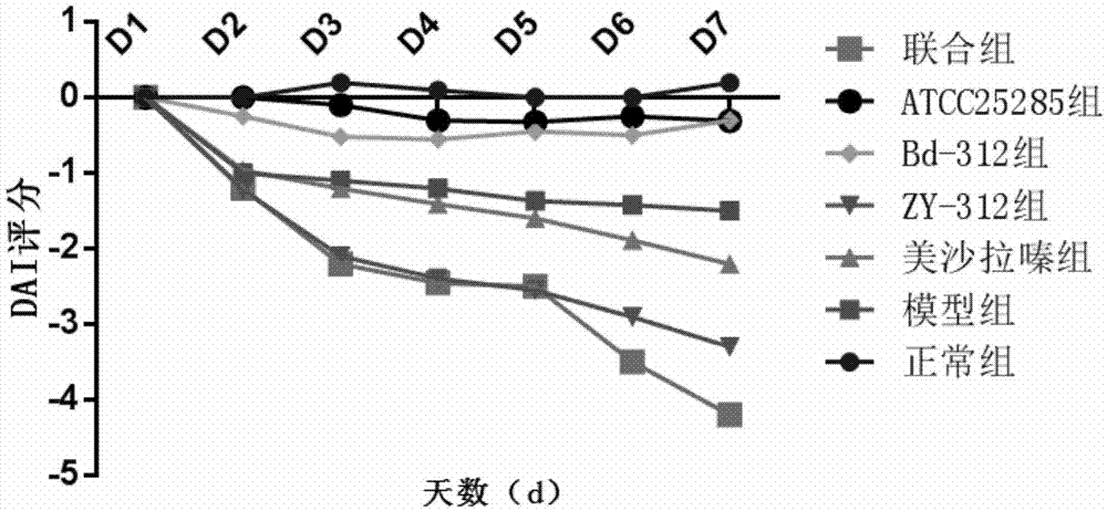 Application of bacteroides fragilis to prevention and/or treatment of inflammatory bowel diseases (IBDs)