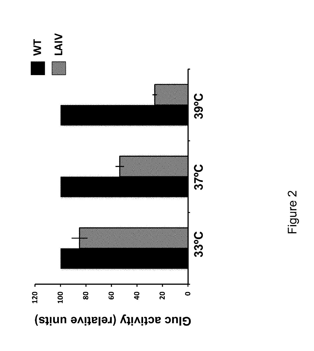 Equine Influenza Virus Live Attenuated Vaccines