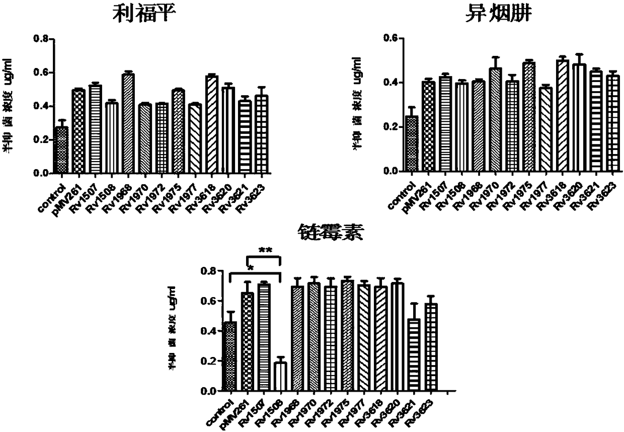 Application of mycobacterium tuberculosis protein Rv1508c to preparation of antituberculotic drug sensitizer