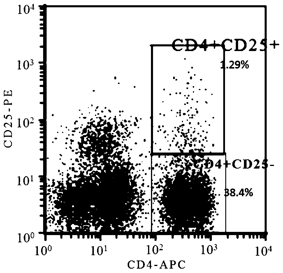 A method for in vitro expansion of umbilical cord blood Treg cells