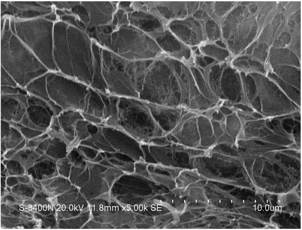 Artificial cornea porous support material and preparation method thereof