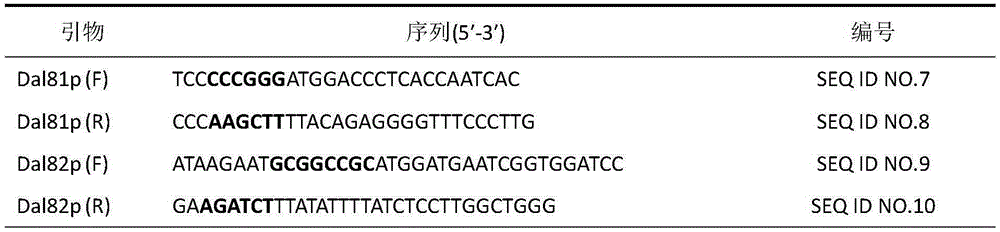 Method for reducing saccharomyces cerevisiae urea accumulation by modifying urea metabolism regulation approach