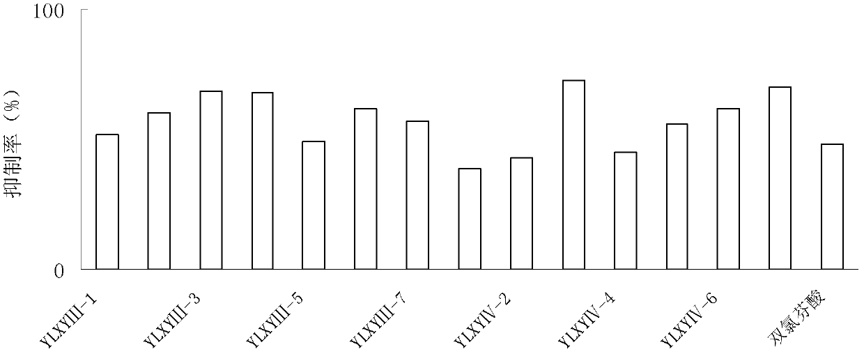 Compound with novel structure and preparation method and applications thereof