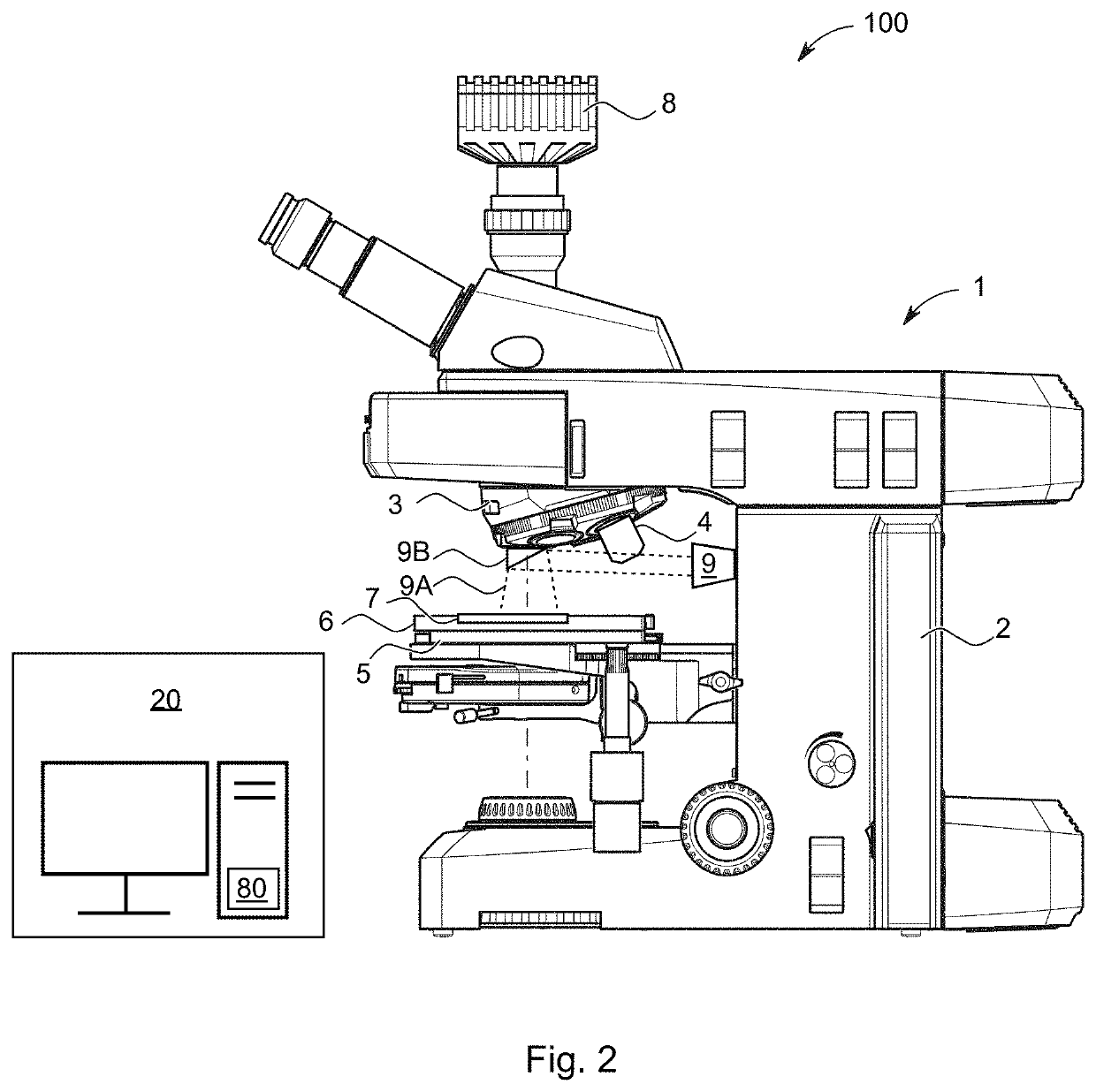 Microscopy System and Method for Image Segmentation