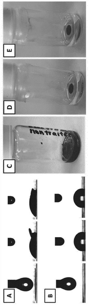 Ecological electrode, electric energy storage device and preparation method thereof