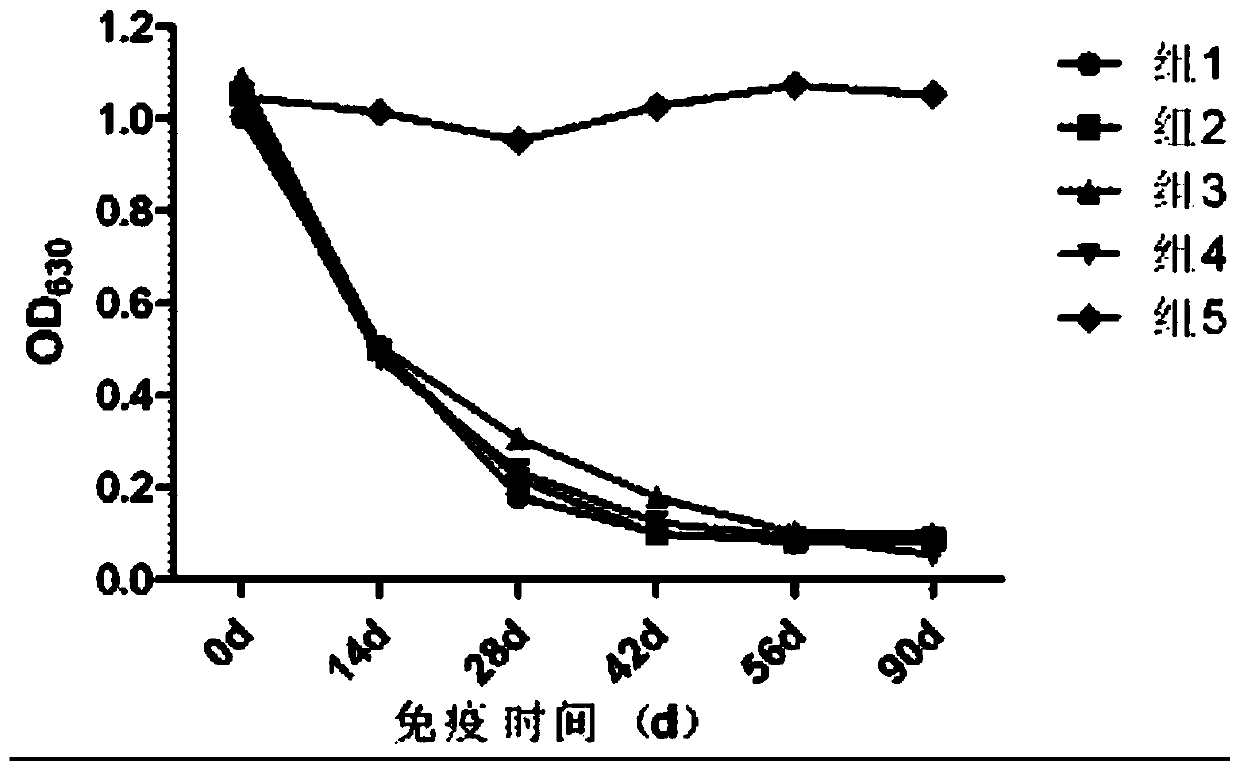 A porcine pseudorabies virus and porcine circovirus type 2 dual vaccine and its application