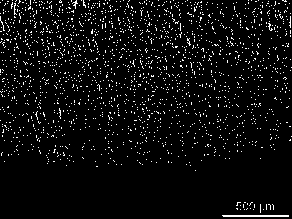 Continuous casting method for eliminating near-surface layer dendrite banded segregation of alloy spring steel wire rod