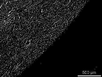 Continuous casting method for eliminating near-surface layer dendrite banded segregation of alloy spring steel wire rod