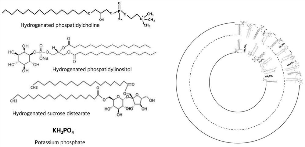 Preparation method of multilayer nano-liposome