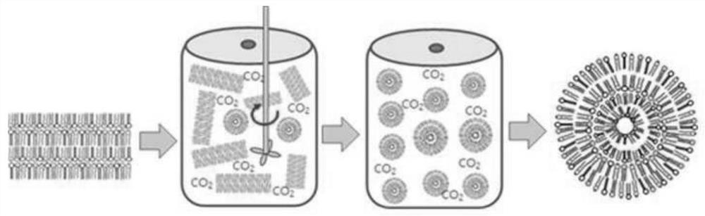 Preparation method of multilayer nano-liposome