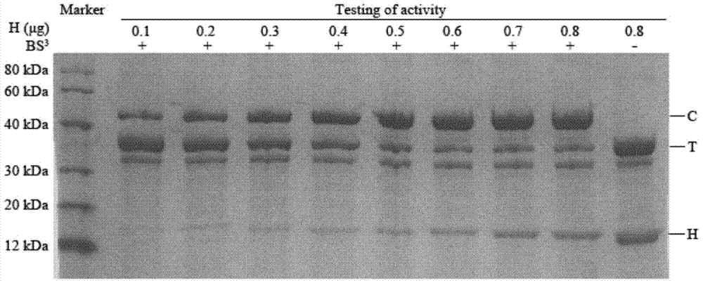 Determination method of hirudin antithrombin activity