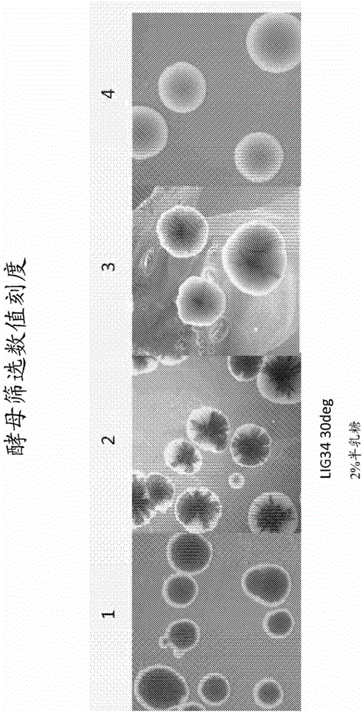 Compositions and methods comprising sequences having meganuclease activity