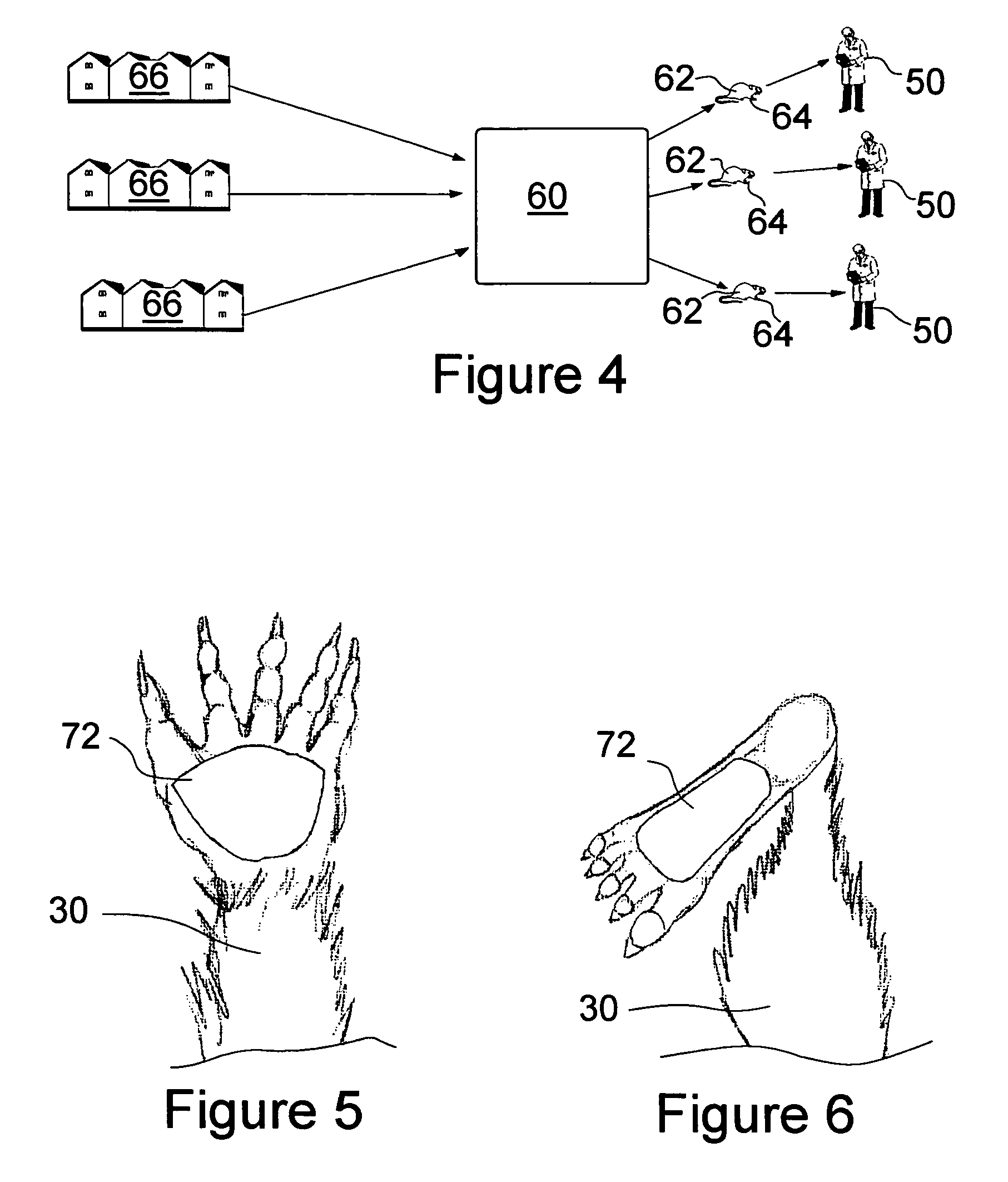 Medical devices and techniques for rodent and small mammalian based research