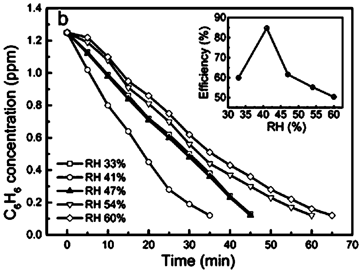 Method for revealing mechanism of influence of humidity on polluted gases in TiO2 photocatalytic degradation