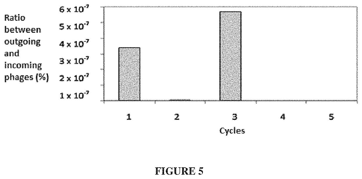 Alpha amylase mutant inhibitors isolated from phaseolus vulgaris with properties of controlling insect pests, compositions containing such mutants, and method of using thereof