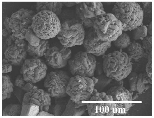 Method for preparing special-shaped anhydrous magnesium carbonate based on hydrothermal carbonization reaction