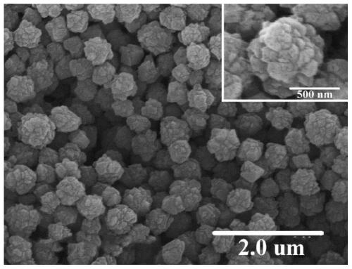 Method for preparing special-shaped anhydrous magnesium carbonate based on hydrothermal carbonization reaction