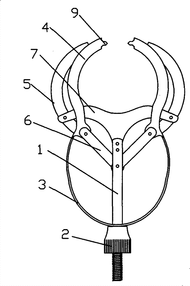 Mandibular gingival flap stretching fixation clamp