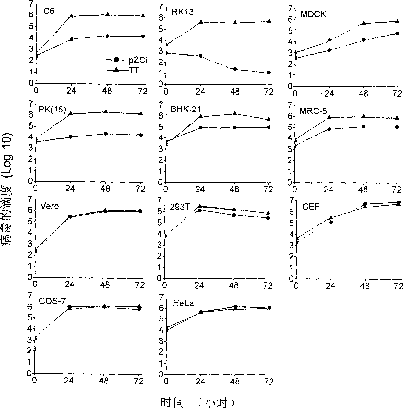 Attenuated vaccinia virus Tiantan strain vector and its preparation and application