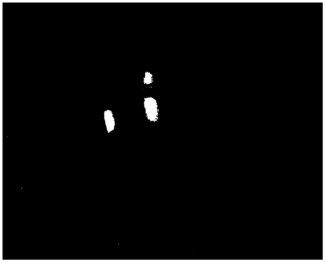 Soilless culture method of Oudemansiella