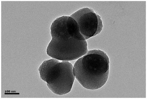 Janus type porous silicon dioxide compound nanoparticle and preparing method thereof