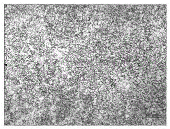 Extremely-thick low-alloy steel plate with low compression ratio and preparation method thereof