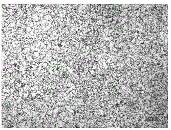 Extremely-thick low-alloy steel plate with low compression ratio and preparation method thereof