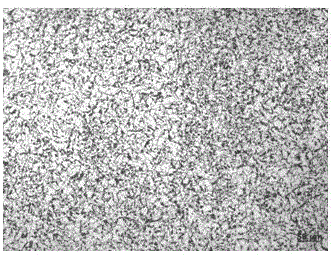 Extremely-thick low-alloy steel plate with low compression ratio and preparation method thereof