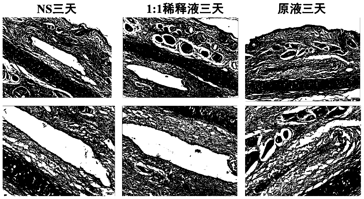 Alda-1 solution as well as preparation method and application thereof