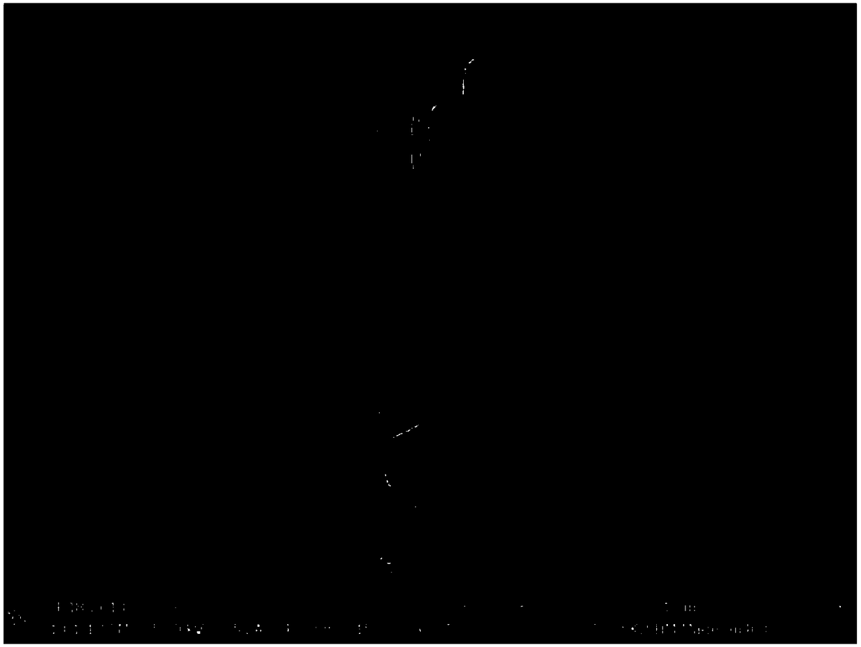 Copper hydroxychloride nanosheet and preparation method thereof