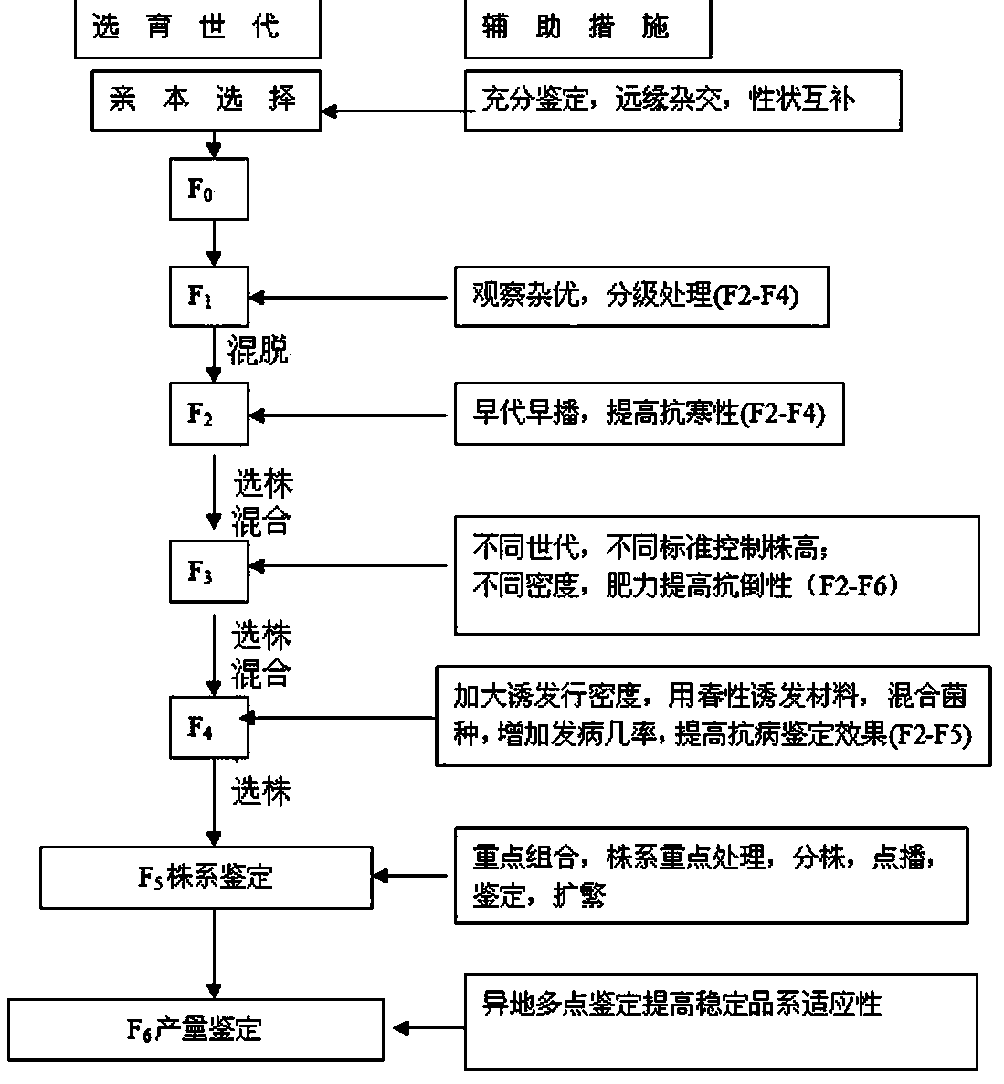 Multi-resistance eurytopic selection mixed wheat breeding method