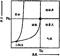 Polymer and method for producing the same