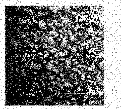 Polymer and method for producing the same