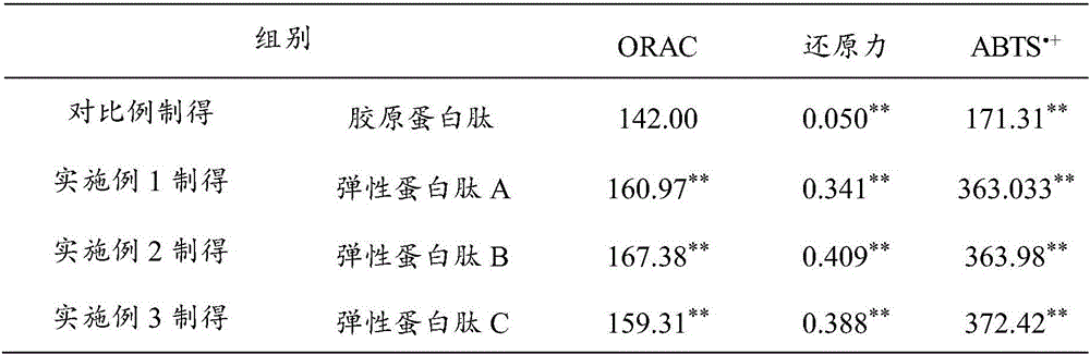 Elastin peptide as well as preparation method and application thereof