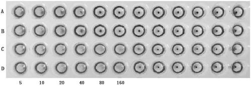 Preparation method of hemagglutination inhibition antigen of avibacterium paragallinarum and application of antigen