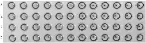 Preparation method of hemagglutination inhibition antigen of avibacterium paragallinarum and application of antigen